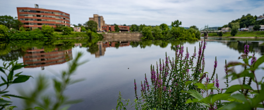 Leigh River in Easton, Pennsylvania looking at Delaware.