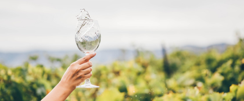 Wine splashing in a glass at a winery