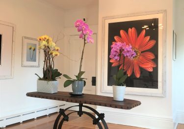 Hyannis Cape Cod vacation rental Sea Street Inn