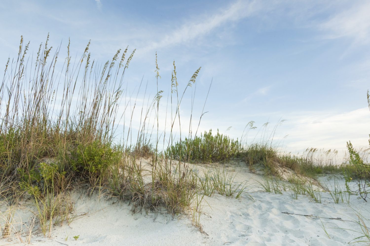 Sand dunes on the coast of Georgia are the perfect backdrop for a February vacation