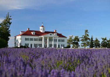 George Washington Inn Exterior Lavender Field