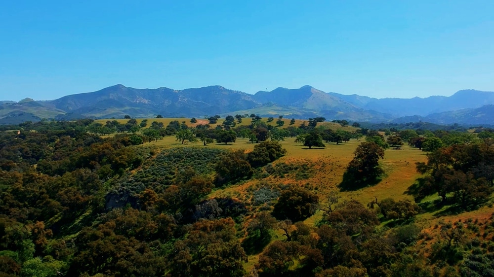 Beautiful views in the Santa Ynez Valley of California